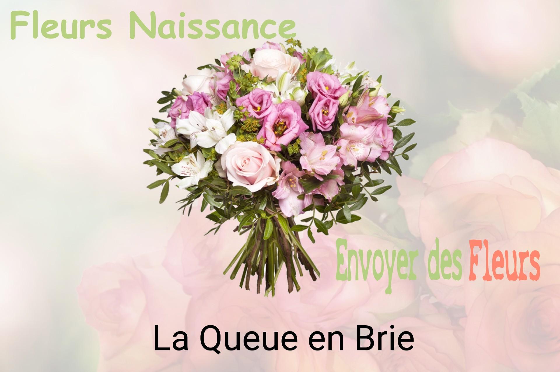 Bouquet de fleurs de naissance livré à La Queue-en-Brie